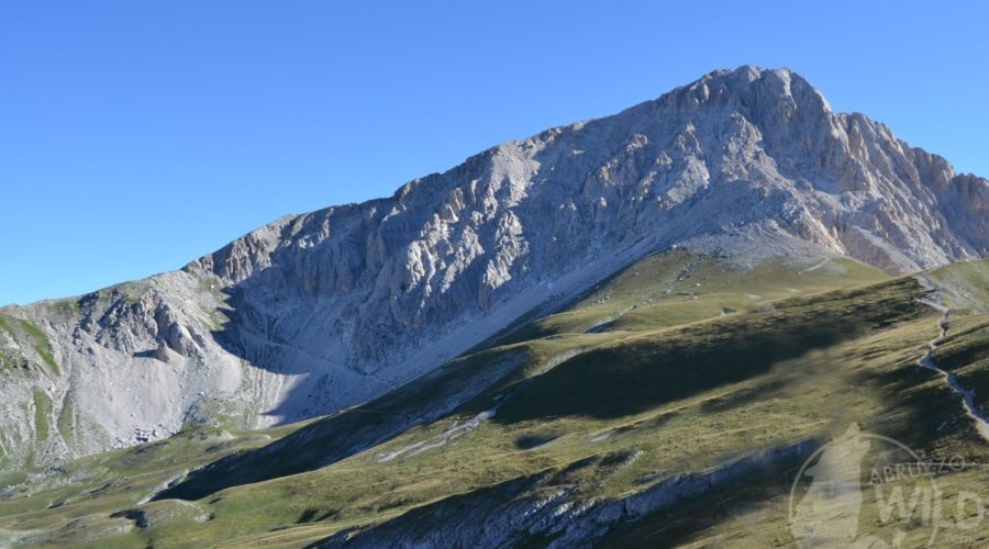 Campo pericoli escursioni