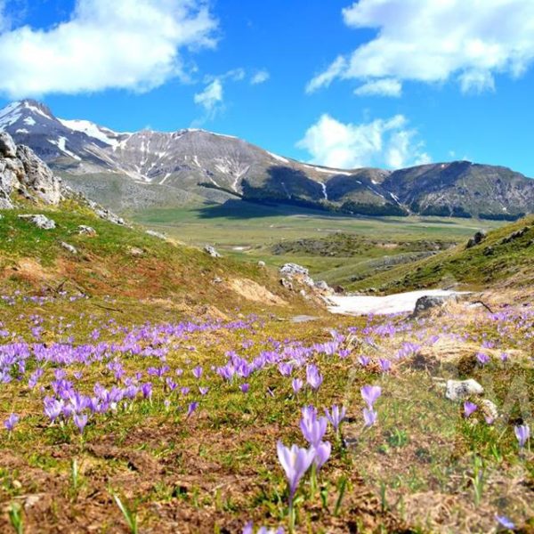 Pasquetta in abruzzo