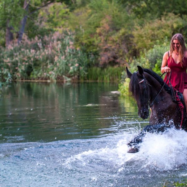 passeggiata a cavallo